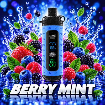 OKSO SHISHA MAX 40000 PUFFS BERRY MINT